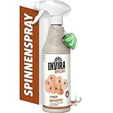 Envira Spinnen Abwehrspray 500 ml - Spray mit langzeitger Fernhaltewirkung gegen Spinnen - Effektive Spinnenabwehr (PT19)