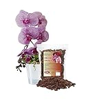 Garten Lux - Substrat für Phalaenopsis Orchideen - Premium Orchideenerde für Phalaenopsis mit 6 Monaten natürlichem Dünger aus Pinienrinde - 6 Liter