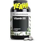 natural elements Vitamin B5 – 240 Kapseln - hochdosierte 500 mg Pantothensäure – vegan – in Deutschland produziert & laborgeprüft