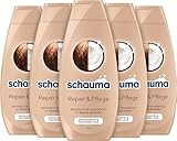 Schauma Schwarzkopf Reparatur-Shampoo Repair & Pflege (5x 400 ml), Haarshampoo glättet & repariert die Haarstruktur, Repair Shampoo für strapaziertes & trockenes Haar, mit Kokos-Extrakt