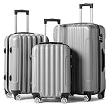 LEADZM 3er Kofferset Rollkoffer Hartschalen Reisekoffer Trolley Set Handgepäck 4 Rollen (Silbergrau)
