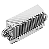 Thermalright HR10 2280 SSD Kühler,2280 SSD Kühlkörper,Doppelseitiger Kühlkörper,2 Kupfer Heatpipes,Desktop High Performance 2280 SSD Cooler, Thermal Pads Included(HR10 2280)