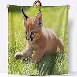 Flanell Kuscheldecke 220x240 cm Luchs‌ Decke Flauschig Tiere Wohndecken Fleecedecken Weiche Warme Decken für Sofa, Couch und Bett A-5777