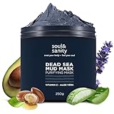 Soul & Sanity Totes Meer Schlammmaske – Gesichtsmaske mit Aloe Vera & Vitamin E – mineralreiche Detox Face Mask - Männer & Frauen – vegane Naturkosmetik, Tiefenreinigung & Pflege – 250 g