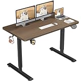 Dripex höhenverstellbarer Schreibtisch elektrisch, Stehschreibtisch höhenverstellbar, Standing Desk für homeoffice, ergonomischer Steh-Sitz Tisch,110x60cm