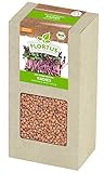 FLORTUS BIO Keimsprossen Radies (200 g) | Gesunde & leckere Keimsprossen | Sprossensaat | Keimsprossen | Keimsaaten