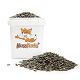 Kürbiskerne geschält im Eimer - 3,5kg - knackige Kürbiskerne grün schalenlos zum Knabbern ungesalzen ungeröstet naturbelassen Kürbis Kerne roh ohne Schale - 100% vegan in Rohkostqualität (3,5kg)