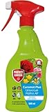 Curamat Plus Universal-Pilzfrei AF, anwendungsfertiges Spray gegen Pilzkrankeiten an Rosen, Zierpflanzen und Gemüse, 500 ml