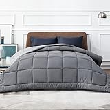 BEDSURE Bettdecke 240x220 Ganzjahresdecke Steppdecke - Bettdecke Ohne Bezug 240x220cm 300GSM - 4 Jahreszeiten Bettdecken Wende Grau/Hellgrau, Weiche Warm Duvet Schlafdecke für Allergiker