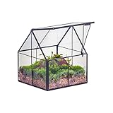 NCYP 10,8x10,8x12,5 cm Geometrisches Mini Pflanzenterrarium aus Glas mit Deckel, Schwarz Übertopf für kleine Sukkulenten Luftpflanzen, Handgefertigt Heimgarten Büro Tischdekoration (Nur Terrarium)