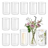 Glasvasen 12er-Pack, 15 cm hohe zylindrische Vase, Glasvase zur Tischdekoration, Blumenvase, Kerzenglasflasche, Kieselsteinflasche, für Party-, Hochzeits- und Bankettdekoration(12, 8.5×15-Gerade)