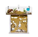 Acryl Ameisenfarm Set mit Sand in Mini T-Form - 14x5x14 cm Sandwich und Futterkasten - Ameisen Farm mit Lebenden Ameisen - Enthält Königin, Arbeiterinnen, Eier und Larven - Durchsichtig