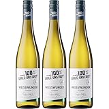 Für mich 100% Saale Unstrut Weisswunder Feinherb Weisswein Weiss Halbtrocken Deutschland inkl. FeinWert E-Book (3 x 0.75 l)