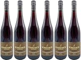 Wein- und Sekthaus Volker und Bernd Schreieck Schwarzriesling Rotwein 2023 Feinherb (6 x 0.75 l)