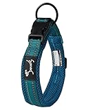 PETTOM Hundehalsband Verstellbare Nylon Hunde Halsband Atmungsaktives Reflektierend Halsband (Blau M)