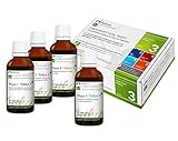 Wellnest Leber-Kraft Detox-Kur-Paket (Entgiftungs-Kurpaket für 40 Tage Leberreinigung nach TCM) - 100% pflanzlich - einfache Handhabung - sehr gut wirksam bei Leber- und Durchschlafbeschwerden