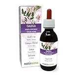 Geißraute (Galega officinalis) Kraut mit Blüten Alkoholfreier Urtinktur Naturalma - Flüssig-Extrakt Tropfen 100 ml - Nahrungsergänzungsmittel - Veganer