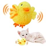 Interaktives Katzenspielzeug Elektrisches Katzenspielzeug Selbstbeschäftigung, Katzenminze Spielzeug Katzenspielzeug Interaktives Spielzeug für Katzen, Katzen Spielzeug Kitten Cat Toys for Indoor Cats