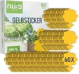 NUIA® XL Gelbsticker-Set - 60x Gelbtafeln zur Trauermücken Bekämpfung - giftfreie Klebefalle für Zimmerpflanzen - effektive Obstfliegenfalle - Gelbfalle gegen Trauermücken