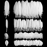 Geosar 300 Stück Federn zum Basteln Natur Gänsefedern Bastelfedern Dekorationen für Traumfänger Basteln Karneval Hochzeit Party Deko Handwerk Schmuck DIY Kleider Zubehör, 4 Größen(Weiß)