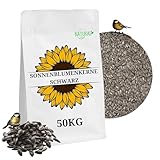 Schwarze Sonnenblumenkerne 50 kg Wildvogelfutter ganzjähriges Futter Vogelfutter Jungtiere geeignet Winterfutter 50kg Ernte 2024 2x25kg