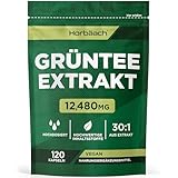 Grüntee Extrakt 12480 mg pro Tagesdosis | 120 Pulver Kapseln | Hochdosiert Green Tea | Vegane | von Horbaach