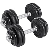SONGMICS Hanteln, Hantelset aus Gusseisen, 2 x 15 kg, verstellbar, für Männer und Frauen, Workout, Fitnesstraining, Gewichtheben für Zuhause, Fitnessstudio, schwarz SYL30T