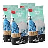 Holste Waschsoda, 4er Pack (4 x 500 g)