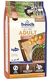 bosch HPC Adult mit frischem Lachs & Kartoffel | Hundetrockenfutter für ausgewachsene Hunde aller Rassen | 1 x 3 kg