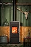 Wanders fires&stoves Kaminofen | PECAN ECO M | 8 kW