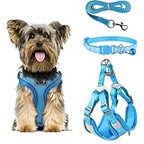 FINEASY Hundegeschirr mit Leine, Reflektierend, Hundegeschirr Kleine Hunde, Sicherheitsgeschirr Hund Ausbruchsicher, Brustgeschirr Hund, Geschirr für Haustiere, Katzen, Klein, Welpen, Blau (M)