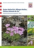 Guter Heinrich, Pfingst-Nelke, Färber-Scharte & Co: Hessische Verantwortungsarten - Teil 1 (Naturschutzskripte)