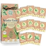 Bio Kräuter Samen Set – 12 ein-/mehrjährige Kräutersamen in samenfester Qualität |für gesunde Küchenkräuter & Heilkräuter. Kräutersaatgut für Küche, Garten und Balkon. Samen Geschenk