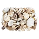 Ideen mit Herz Potpourri | Muscheln | 450 g | Natur | Verschiedene Muschelarten