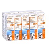 NASENSPRAY ratiopharm, für Sinusitis Erwachsene 10 Packungen - Sparset 10x15ml