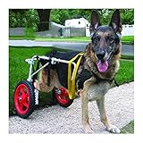 KHUY Rollstuhl für Große Hunde Hunderollstuhl Hintere Extremitäten Pet Wagenhunde-radstuhl Hinterbeine Rehabilitation, Walkin-räder Helfen Ihnen Harness (Size : Large)