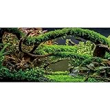MIRRORANG 76x46cm Aquarium Hintergrund Zweige Terrarium Hintergrund Wasserpflanze Flussbett & See Aquarium Hintergrund Vinyl Hintergrund