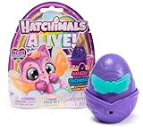 Hatchimals Alive Neon-Rainbow Überraschungs Pack - mit einem selbst-schlüpfenden Ei mit Überraschungsfigur, Spielzeug für Kinder ab 3 Jahren