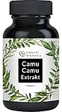 Camu Camu Extrakt Kapseln - Natürliches Vitamin C - 180 vegane Kapseln für 6 Monate - 500mg Cumu-Camu Extrakt je Kapsel -Laborgeprüft, ohne unerwünschte Zusätze