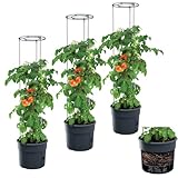 DTU24 3X Blumentopf Tomatentopf Topf für Tomatenpflanzen 18L Tomatenzüchter Gesamthöhe 127 cm Pflanzen-Aufzucht-Turm mit Rankhilfe Rangitter (3 Stück, Ø 35 cm)