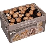 Hawlik Pilzbrut I Großes 10kg Stein-Champignon Pilzzuchtset XXL I Pilze züchten Set I ohne Vorkenntnisse I tolles Geschenk für Gartenfreunde und Gemüse Liebhaber I Pilz Zuchtbox (Groß)