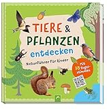 Tiere und Pflanzen entdecken mit 38 Vogelstimmen als QR-Codes: Naturführer für Kinder ab 7 Jahren: Viele spannende Infos, reale Bilder und Anleitungen regen zum Rausgehen und Experimentieren an