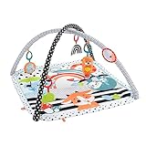 Fisher-Price Tierfreunde Kontrast-Spieldecke, Spielbogen, mit Musik und Licht, Krabbeldecke für Baby, zum Spielen im Bauchlage, Baby Ausstattung, ab Geburt, HPF39