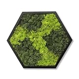 comforder Hexagon Wandbild mit echtem Moos (ø38 cm), Konserviertes Moosbild mit Holzrahmen, Natur Wanddeko fürs Wohnzimmer