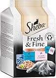 Sheba Fresh & Fine in Sauce - Hochwertiges Katzen Nassfutter - Lachs und Thunfisch (MSC) - Für die tägliche Abwechslung im extra kleinen Portionsbeutel - 36 x 50g