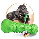 SAMNIS® - Kauspielzeug Hund - Grün - Besonders robuster Premium Naturkautschuk - unzerstörbares hundespielzeug bei normalem kauen - hundespielzeug quietschend für mittlere & große Hunde