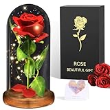 Geschenke für Frau, Ewige Rose im Glas, Die Schöne und das...