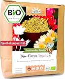 Cistus Tee - Cistus incanus Tee - Bio Zistrosenkraut geschnitten (500g)