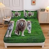 Löwe Spannbettlaken 90x200cm, SpannbetttuchFelder Weiche Mikrofaser Boxspringbett Bettlaken geeignet für Matratzen von 30 cm Mit 1 Kopfkissenbezug 80x80 cm