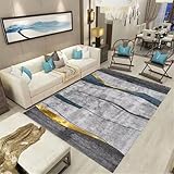 Xiaosua Outdoor Teppiche70x120CM Kurzflor Teppich nach maß Blau-Goldener, schmutzabweisender Teppich. Grau small Bedroom Rugs for Adults weich ohne zu verblassen Wohnzimmer Muster